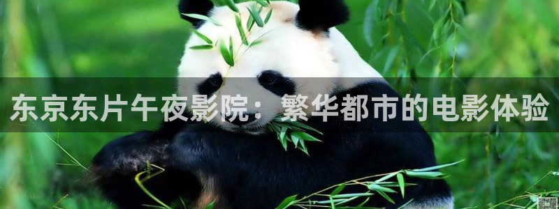 星空电影网最新