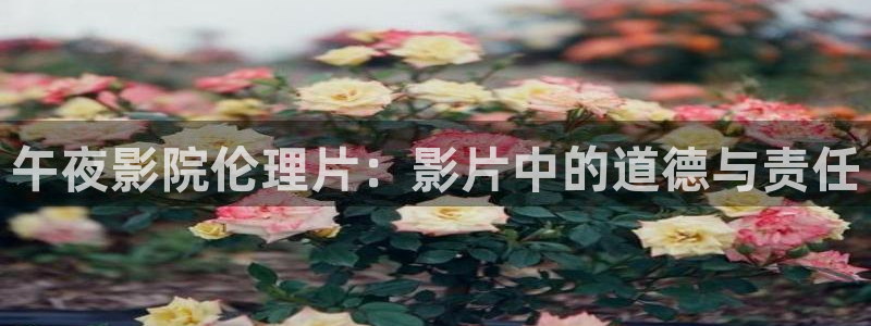 星空影视是什么