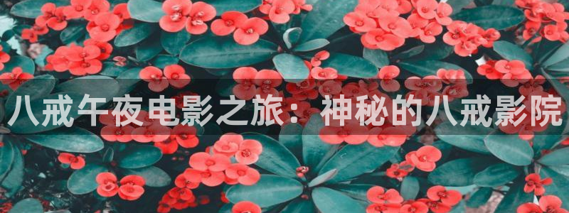 星空无限传媒免费观看高清