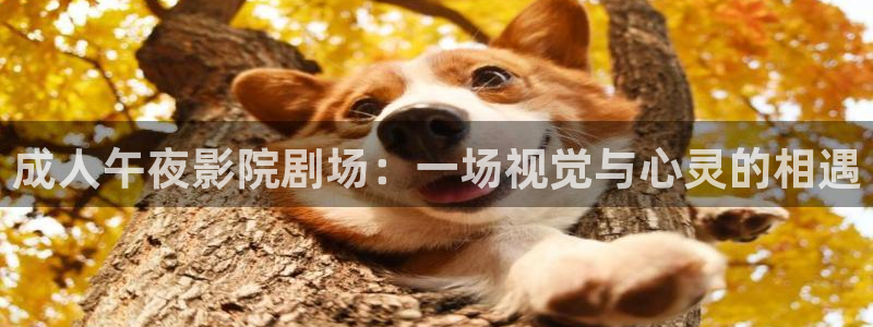 那片星空那片海回声