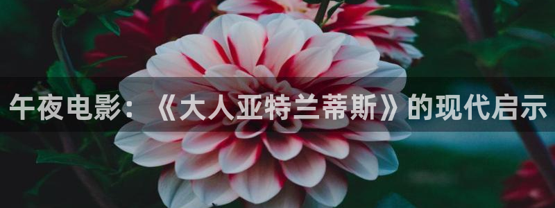 精东影业2025