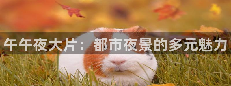 精东影业在线播放观看免费