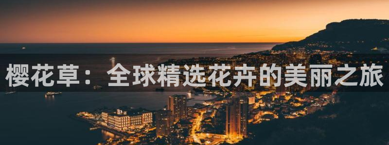 星空影网