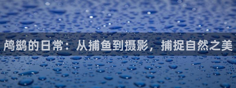 精东影业电视剧在线观看免费
