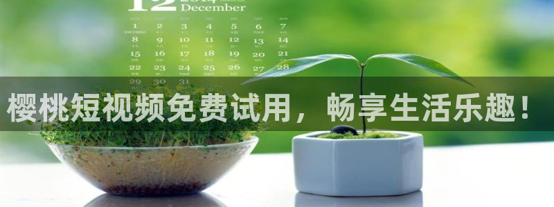 星空影视在线观看全集免费高清