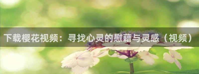 星空免费电影网站