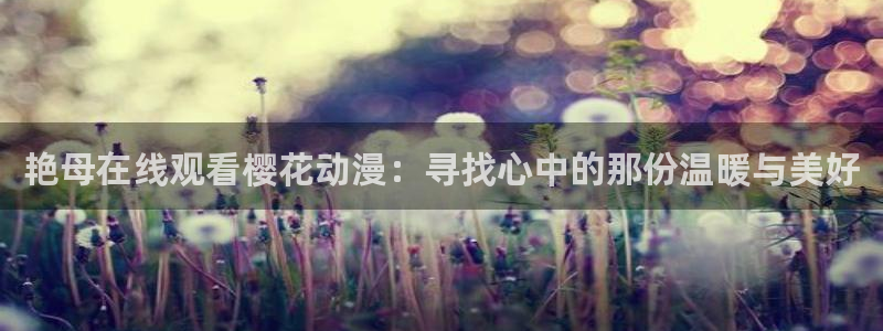 星空网高清不卡