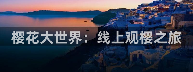 星空视频在线免费观看