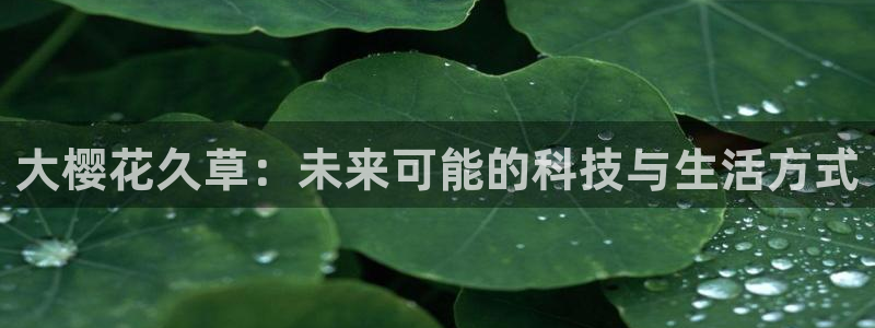 那片星空那片海回声