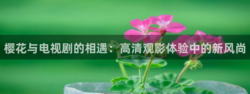 星空电影免费观看高清