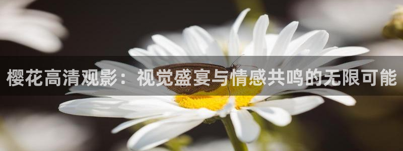 精东影业在线高清免费观看