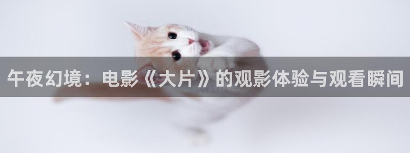 星空传媒免费观看电影