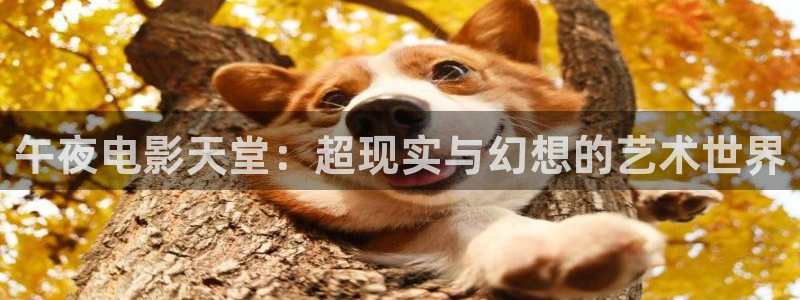 精东影业免费观看电视剧大全最新
