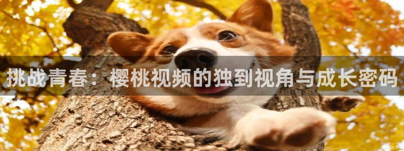 精东影业电影在线观看动漫免费