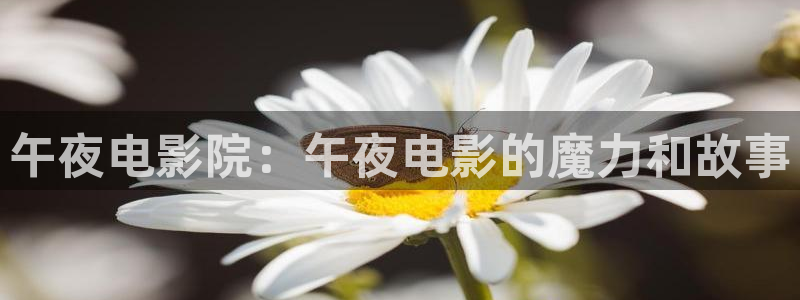 星空影视大片免费看