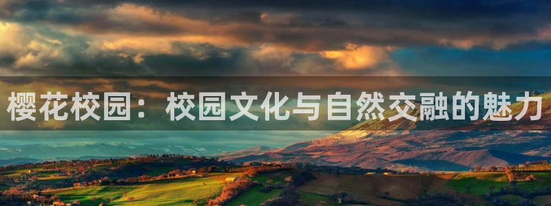 星空视频在线观看电影免费