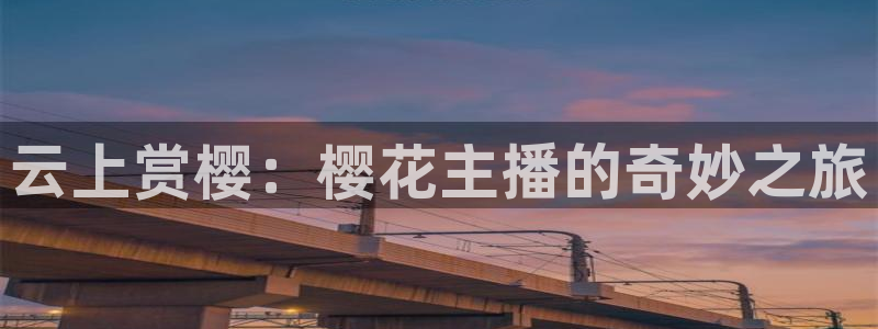 星空无限传媒影视在线观看