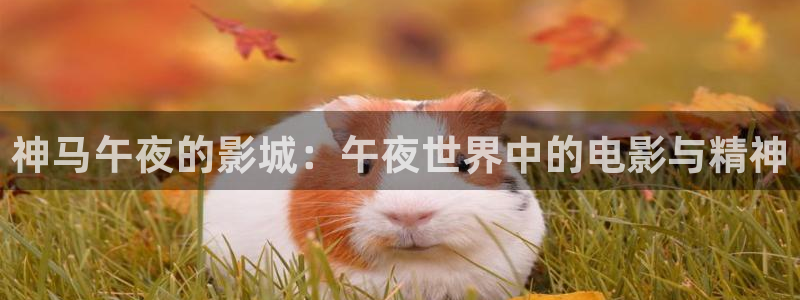 星空影视短剧