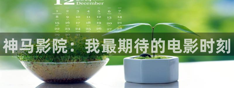 精东影业七根心简
