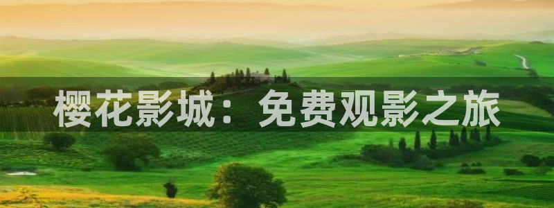 电影 星空