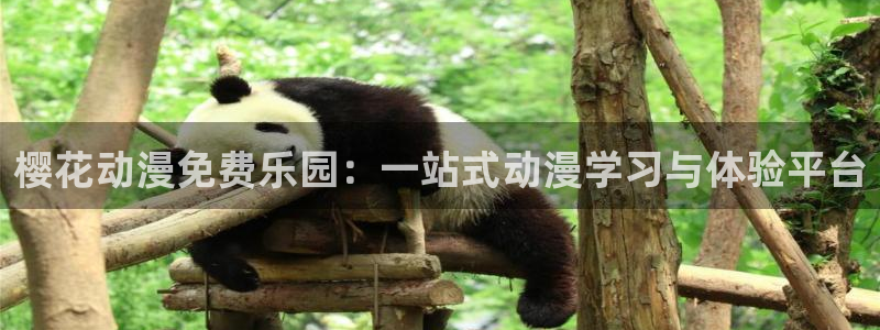 伊波拉病毒星空影视