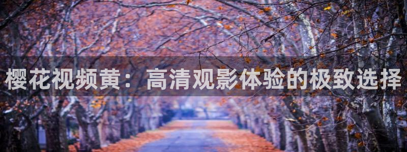 星空顶家庭影院