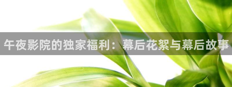 电影精东影业