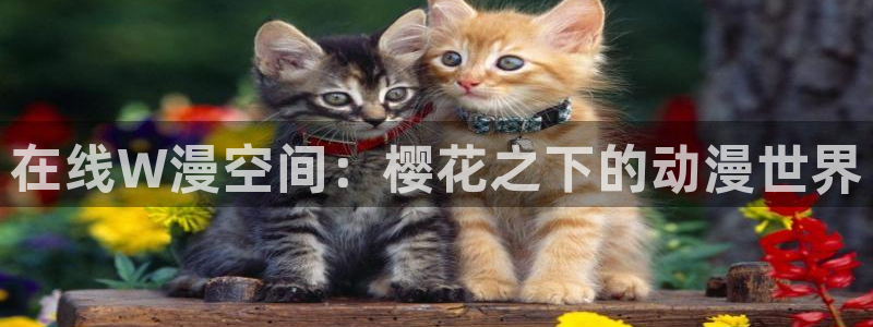 星空影视大全片库