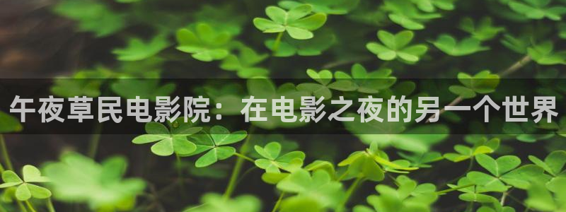 星空视频影视