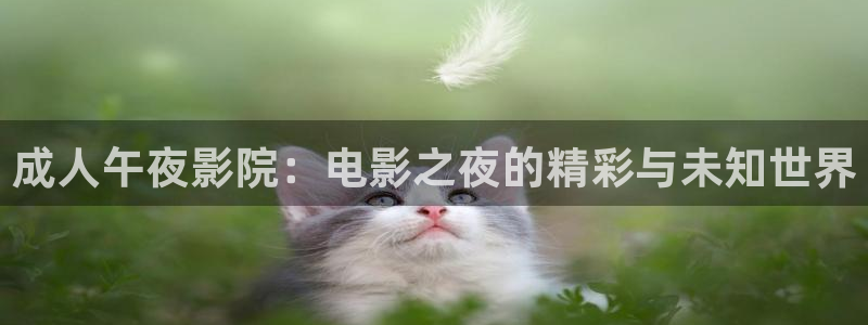 精东影业在线观看电影电视剧