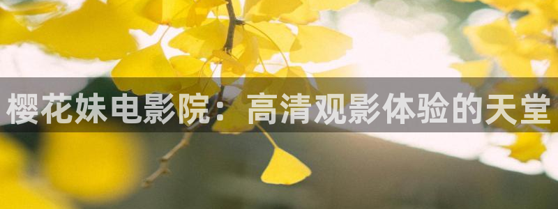 精东影业在线观看全集免费2026