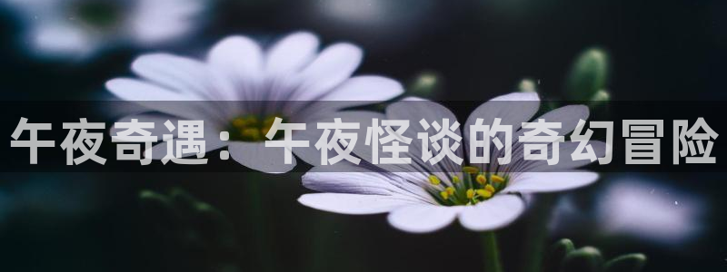星空在线影视免费观看电视剧