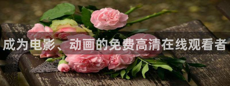 星空无痕mv免费观看高清