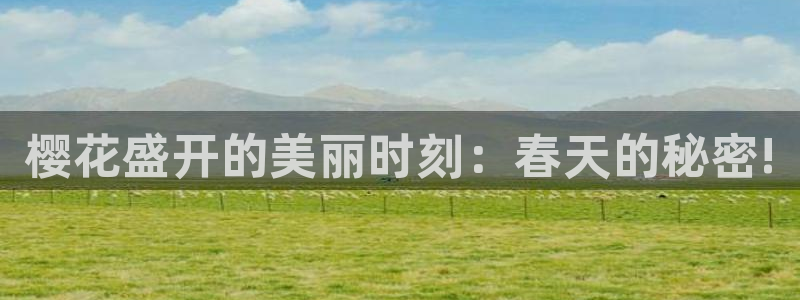 星空影视网下载app